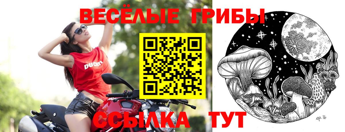 Галлюциногенные грибы MAGIC MUSHROOMS Азнакаево
