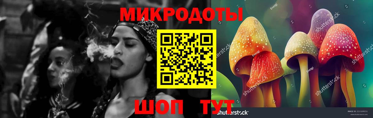 Псилоцибиновые грибы MAGIC MUSHROOMS  Вход с VPN  Азнакаево 